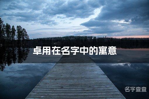 卓用在名字中的寓意_卓字取名最佳搭配男宝宝名字