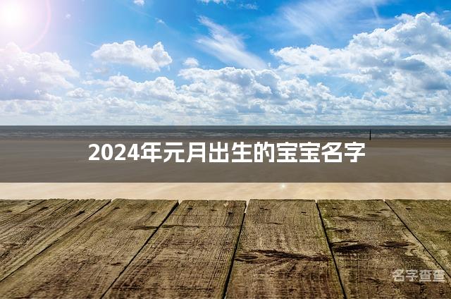 2024年元月出生的宝宝名字（940个）