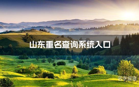 山东重名查询系统入口 简单独特的山东男孩名字推荐