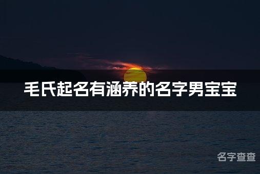 毛氏起名有涵养的名字男宝宝