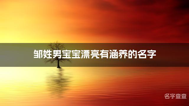 邹姓男宝宝漂亮有涵养的名字 姓邹名字大全男宝宝