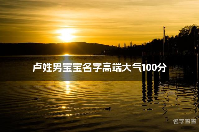 卢姓男宝宝名字高端大气100分(精选美名)