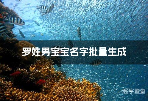 罗姓男宝宝名字批量生成 宝宝取名字大全免费