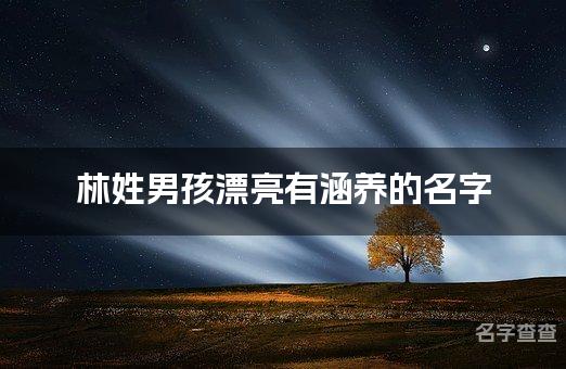 林姓男孩漂亮有涵养的名字 姓林名字大全男孩