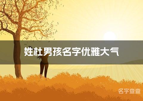 姓杜男孩名字优雅大气 姓杜的男孩名字有涵养