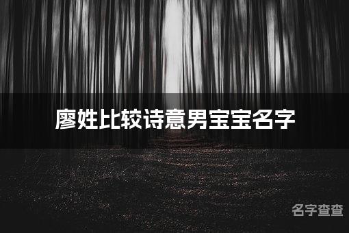 廖姓比较诗意男宝宝名字,男宝宝有古风诗意的名字