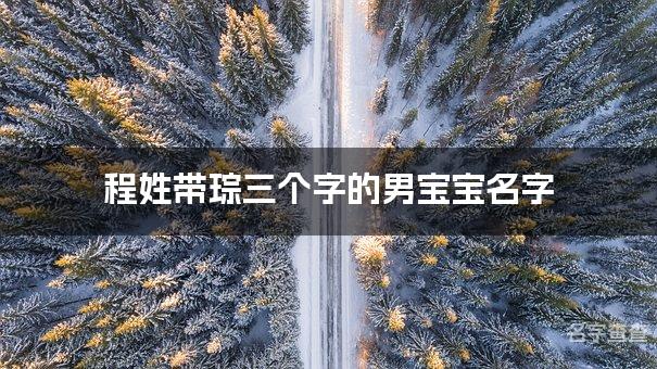 程姓带琮三个字的男宝宝名字 有灵气