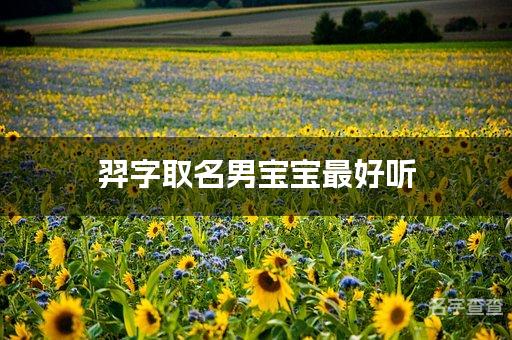 羿字取名男宝宝最好听 羿字在名字中寓意和含义是什么