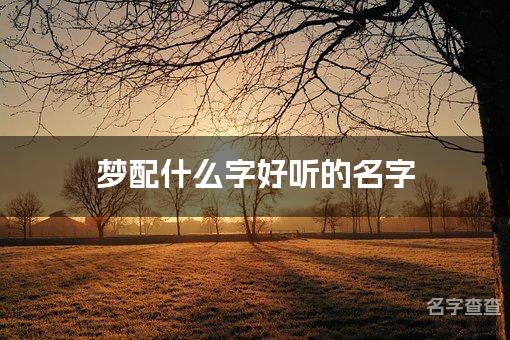 梦配什么字好听的名字_梦字取名最好听的男宝宝名字