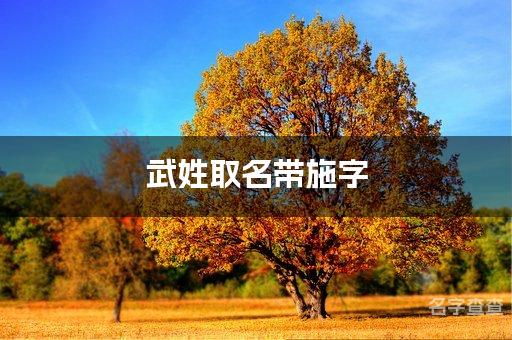 武姓取名带施字 全国少见最稀有的名字