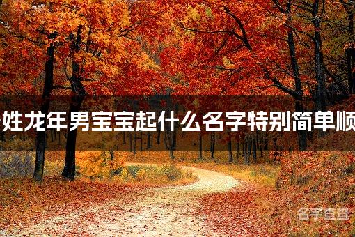 陆姓龙年男宝宝起什么名字特别简单顺口