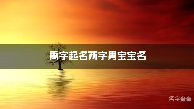 禹字起名两字男宝宝名 平安健康的男宝宝名字