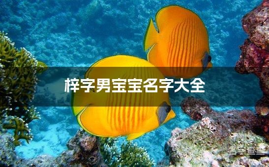 梓字男宝宝名字大全 带梓字高雅的名字