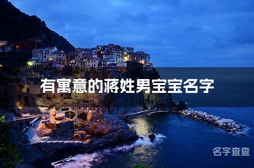 有寓意的蒋姓男宝宝名字,蒋姓男宝宝名字高端大气