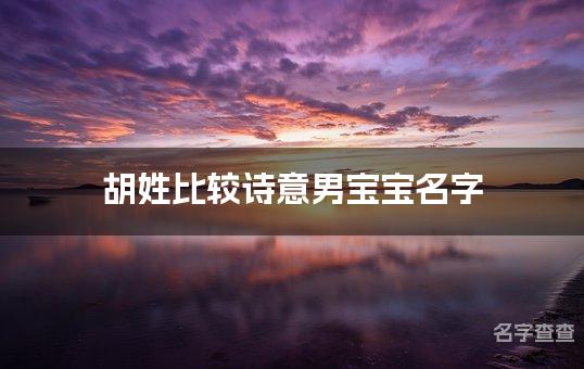 胡姓比较诗意男宝宝名字,男宝宝有古风诗意的名字