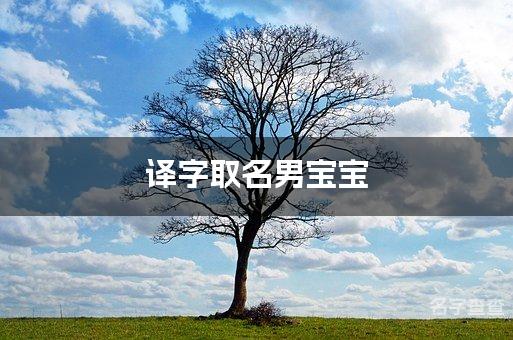 译字取名男宝宝 寓意好又好听的男宝宝名字