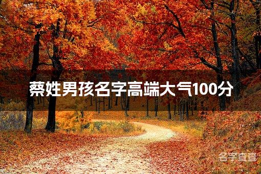 蔡姓男孩名字高端大气100分(精选美名)