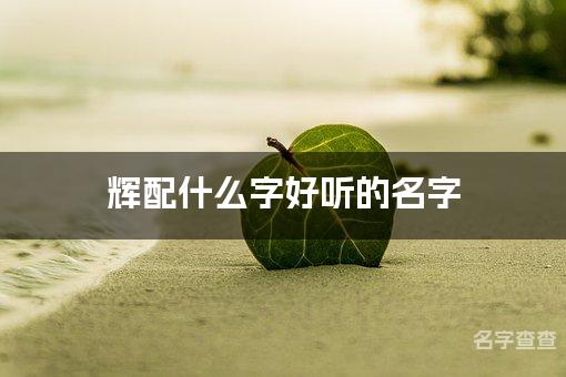 辉配什么字好听的名字_辉字取名最好听的男宝宝名字