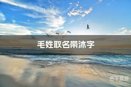 毛姓取名带沐字 全国少见最稀有的名字