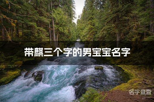 带麒三个字的男宝宝名字 有寓意