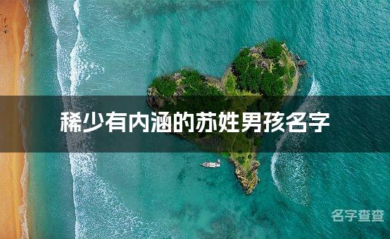 稀少有内涵的苏姓男孩名字 让人过目不忘的宝宝名字