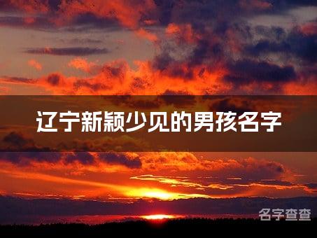 辽宁新颖少见的男孩名字 重名查询系统分析少见的名字