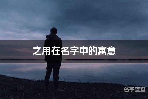 之用在名字中的寓意_之字取名最佳搭配男宝宝名字