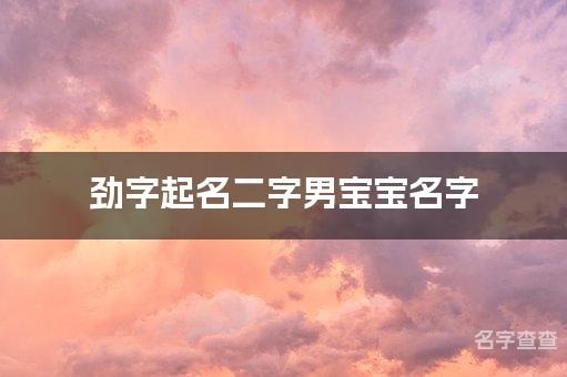 劲字起名二字男宝宝名字 简单顺口