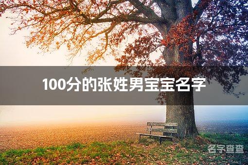 100分的张姓男宝宝名字 名字测分张姓取名