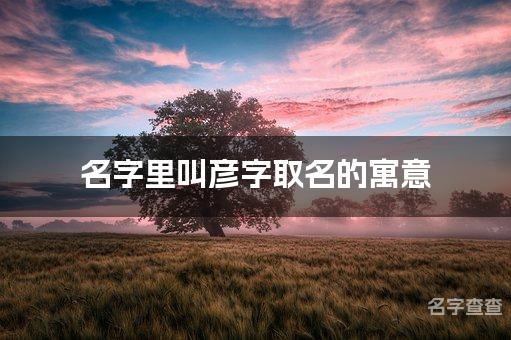 名字里叫彦字取名的寓意_彦字男宝宝取名寓意