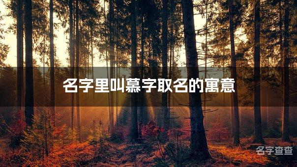 名字里叫慕字取名的寓意_慕字女宝宝取名寓意