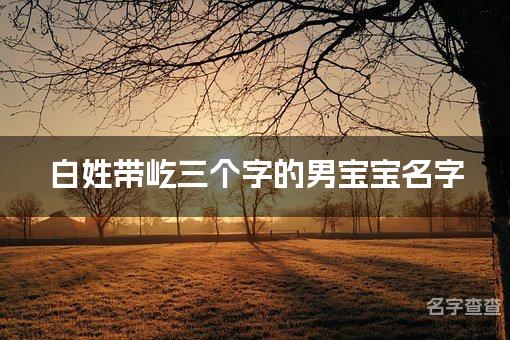 白姓带屹三个字的男宝宝名字 有创意